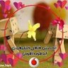 Profilbild von moustafa