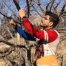 Profilbild von Osama Iqbal