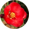 siempre_crece's profile picture