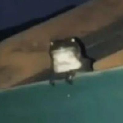 HuntingHumanz's profile picture