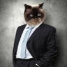 Profilbild von Meowmi Vice
