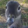 Profilbild von Fora da bolha