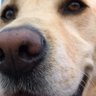 ohheaso profil fotoğrafı