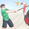 Ostrich Bludgeoner's profile picture