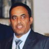ibrahim dahman's profile picture
