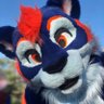 Tav Tiggy's profile picture
