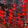 Фото профиля NickMac6