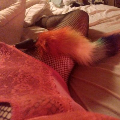 switch_alexa's profile picture
