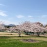 akamichi profil fotoğrafı