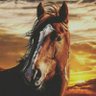 Фото профиля Ibrahim9_Hsn