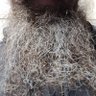 Jimmy chase's profile picture