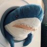 たくらー@🦈's profile picture