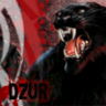 Фото профиля dzurlady