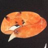 🦊خانوم فاکس شگفتانگیز🦊's profile picture