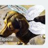 JFEO's profile picture