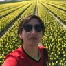 Profilbild von AE Ruiz Villar