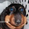 benja's profile picture