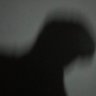 han's profile picture