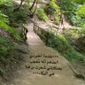 Фото профиля Manal