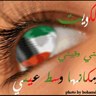 kuwaiti4ever 的头像