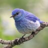 Alesia profil fotoğrafı