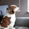 Gerdien's profile picture