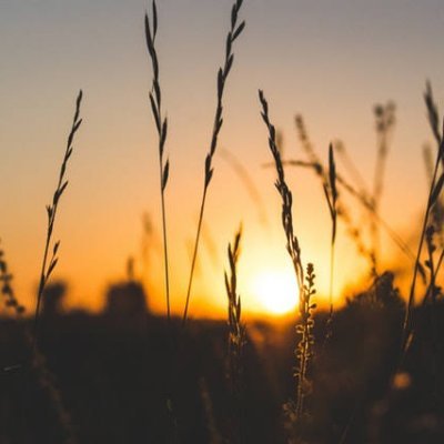 Matahari_Senja9's profile picture