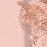 小雨's profile picture