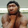 NEANDERTHALNewYorker profil fotoğrafı