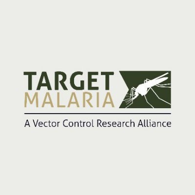 TargetMalaria's profile picture