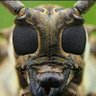 Фото профиля Ally. Kombo
