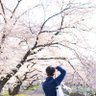 Фото профиля Atsushi Sato