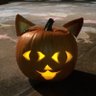 かる☆がも's profile picture