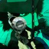 たっさ 的头像