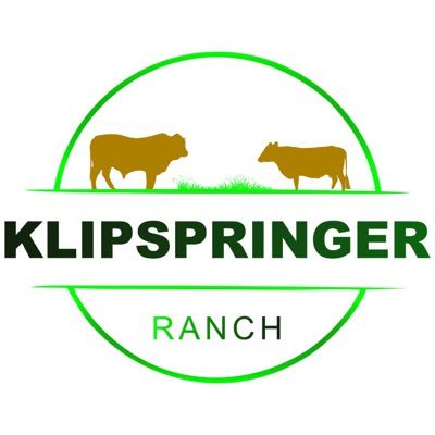 Klipranch's profile picture