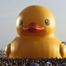 RubberDucky1157 的头像