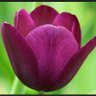 Фото профиля jen van outer