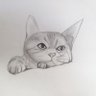 Cat 的头像