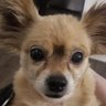 MrHappy's profile picture