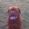 Profilbild von Charlie