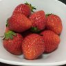 ぴーま 的头像