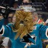 Hockey Badger profil fotoğrafı
