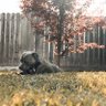 XelNagaPrime profil fotoğrafı
