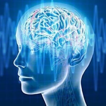 bluhue123's profile picture