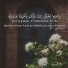 بدور 的头像