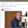 kotoveter's profile picture