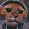 Profilbild von ralf