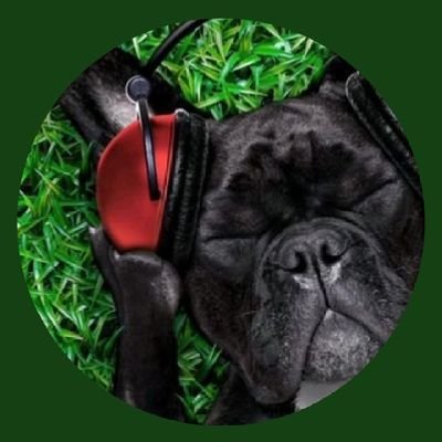 BrunhildeOwagbo's profile picture