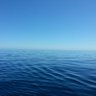 gom profil fotoğrafı