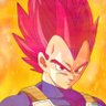 Profilbild von PRINCE VEGITA